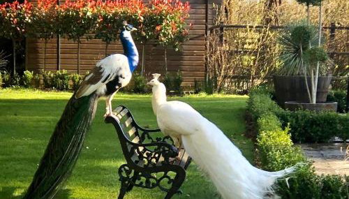 The Priory Cottage - Foto 2