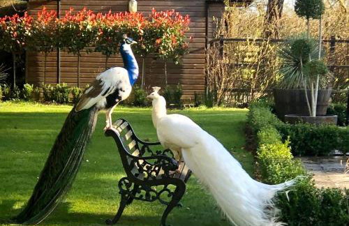 The Priory Cottage - Foto 2