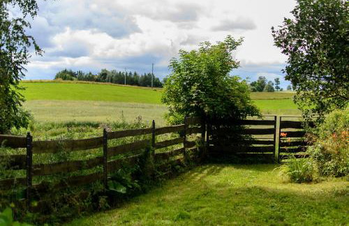 Zakątek Szczęścia Eko Agroturystyka - Foto 69