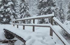 WEINBERG APARTMENTS with Brixen Südtirol Card - Photo 33