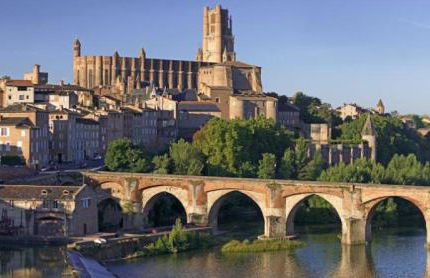 L'ile aux oiseaux - Foto 34