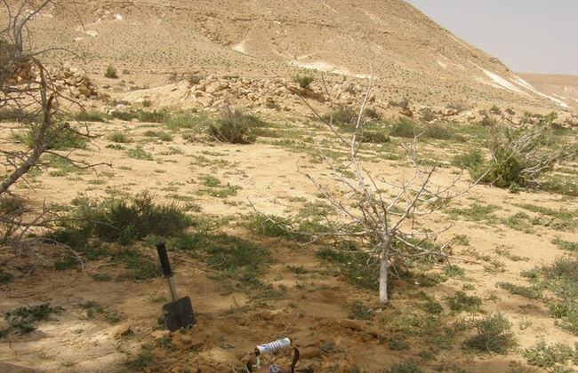 Hadass Desert Inn - Foto 35