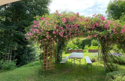 Apartments Montana - Foto 13