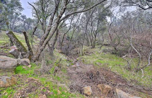 North Fork Vacation Rental: 28 Mi to Yosemite - Foto 31