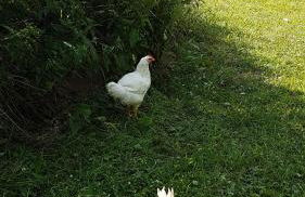 Ferienwohnung FERRUM - Foto 21