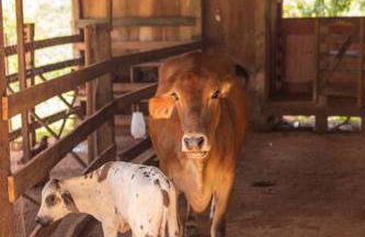 Casa da Floresta - Ibitipoca - Photo 50