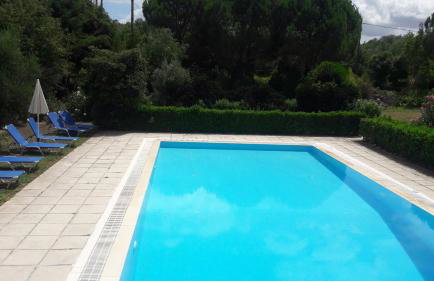 Lemontree Apartments - Foto 43