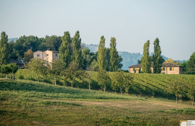 Tenuta Santi Giacomo e Filippo - Foto 76