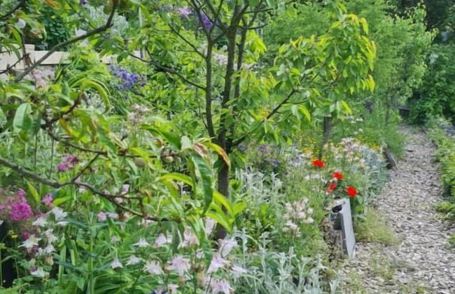 Ferienhaus BLACK & WHITE - Photo 56