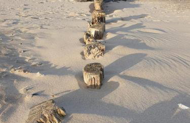 Ferienwohnung Rosengarten mit Meerblick - Photo 19