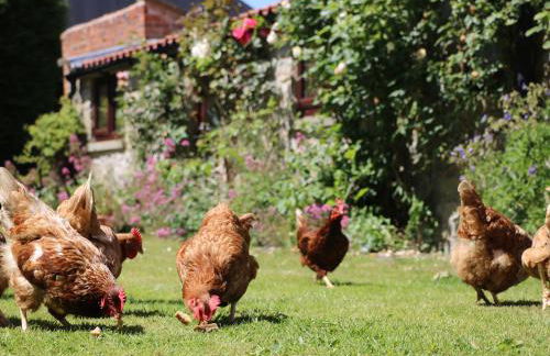 Chestnut Cottage - Foto 10