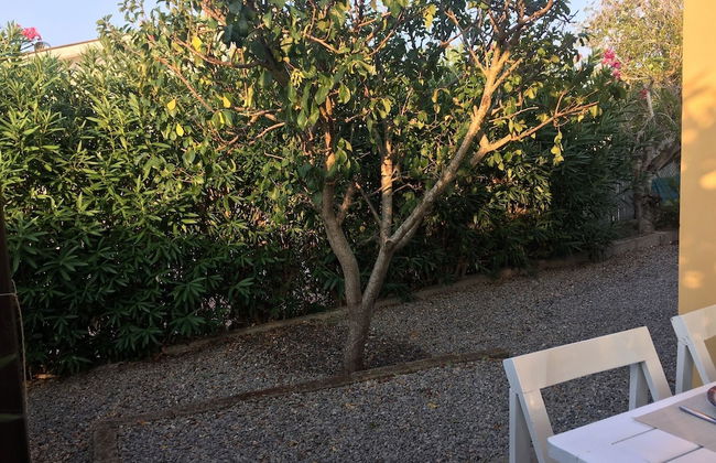 Calanchiole - Foto 24