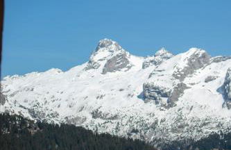 Alpage la Grand Montagne 1858 - Photo 38