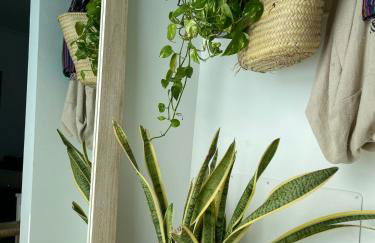 Ponent Formentera - Foto 24