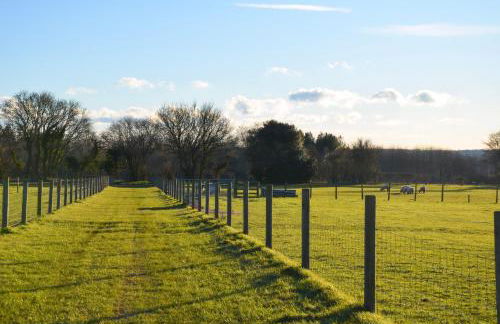 Knapp Cottage - Foto 24