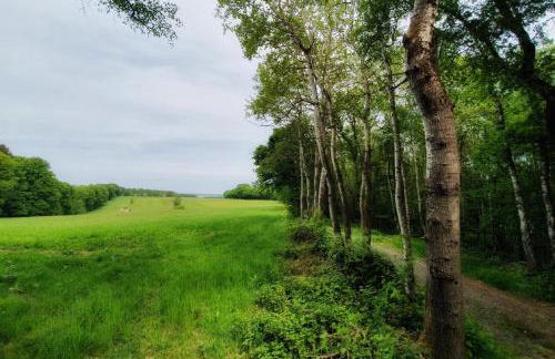 Ferienwohnung am Atelier Horn - Photo 29