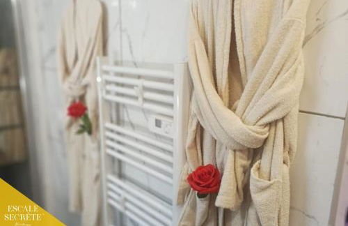 Escale secrète Montargis Jacuzzi Terrasse Parking gratuit - Photo 29