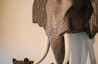 ô Safari appart 8p prôche de Boulogne-sur-mer - Foto 50