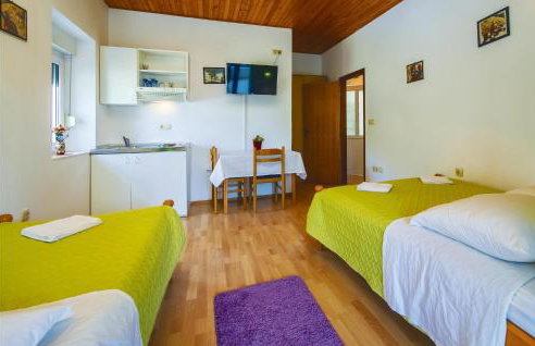 Three-Bedroom Apartment In Ostrvica - Photo 20