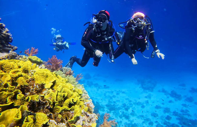 Bautismo de buceo en el Mar Rojo - Foto 19
