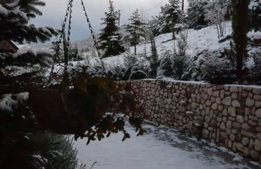 CHALET Σπιτι στο βουνο - Foto 27