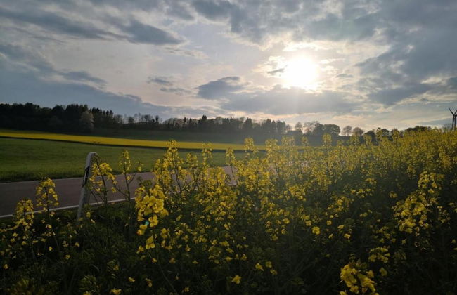 Chalet in Germany With Fireplace & Terrace - Photo 27