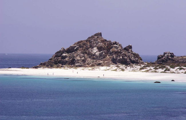 Excursion sur l'île de Damas - Photo 6