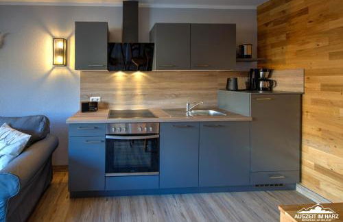 Auszeit-im-Harz Haus 5 Wohnung 24 - Foto 6