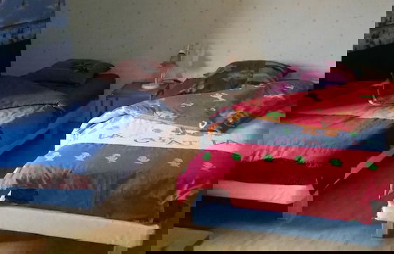 Le Moliere 3 chambres - Foto 2