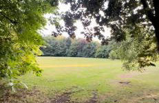 Luxury Woodlands Retreat, Countryside By The Coast - Photo 13