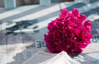 Paros Carmel studio-apartment - Photo 15