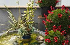 Garden Sky - Photo 2