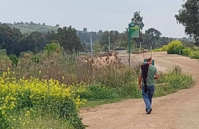 Villa & Lode Bat Galil - Photo 60