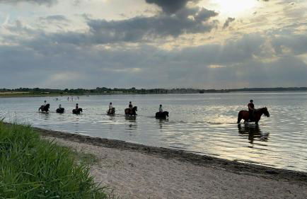 Reihenhaus Geltinger Bucht - Foto 14