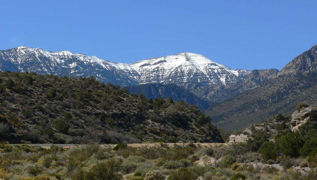 Excursión al monte Charleston - Foto 3