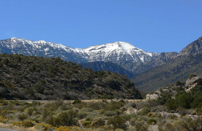 Day Trip to Mt. Charleston - Photo 4