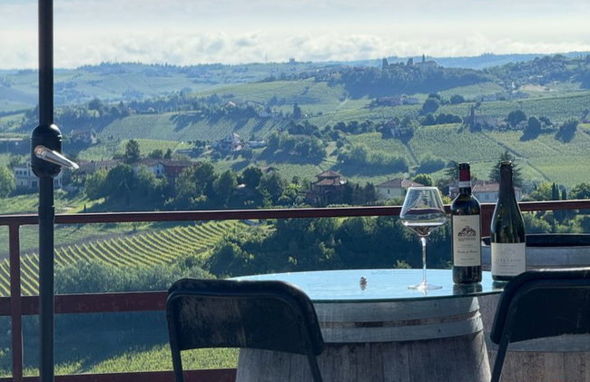 Dégustation de vins avec le producteur Visite la cave e vignoble - Photo 2