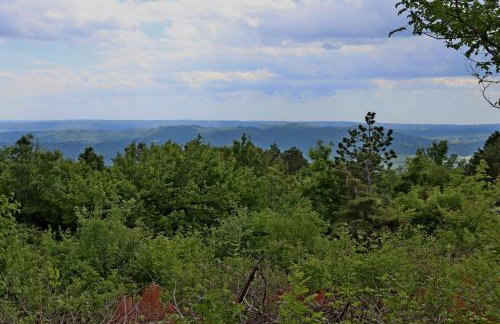 Family friendly house with a swimming pool Dolenja Vas, Central Istria - Sredisnja Istra - 24528 - Foto 15