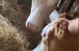 Münsterblick - Foto 21