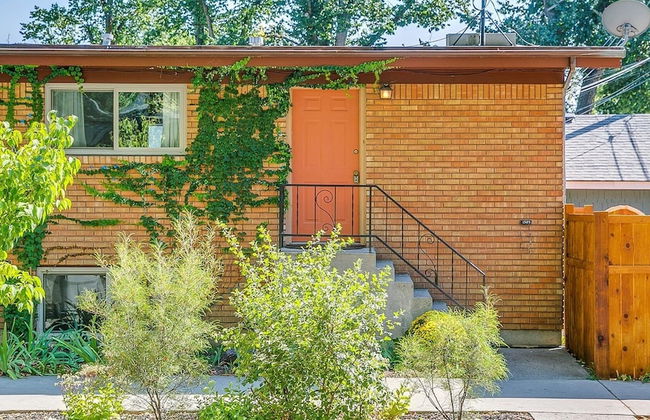 Red Ivy #5 - Foto 28