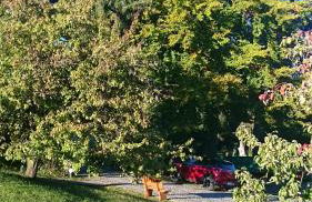 Ferienwohnung Hägelhof - Foto 19