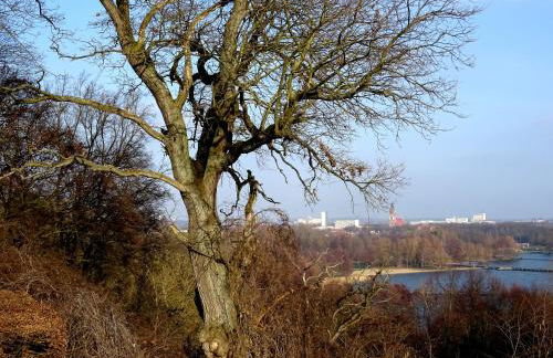 Neubrandenburg-Wasser,Natur,Zentrum,Ladestation für E-Autos - Foto 61