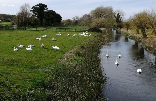 Bridge Farmhouse - Foto 54