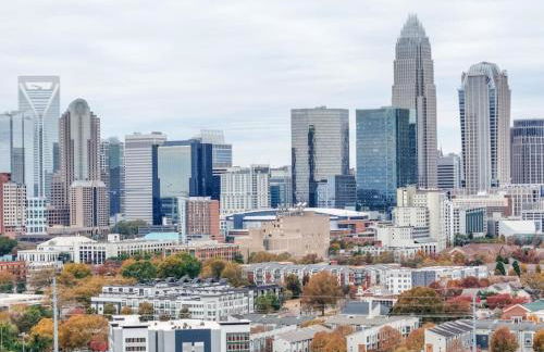 Under the Sea -Eclectic Aquarium - Foto 8