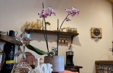 Sitio Lar da Terra - Foto 13