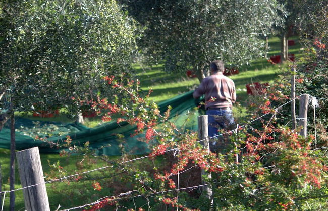 Holiday Home in Selci With Saltwater Pool - Foto 37