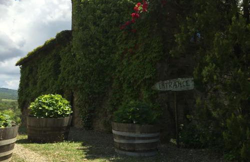 Podere Terreno alla Via della Volpaia - Foto 130