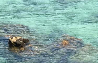 Posada El Pareón - Photo 40