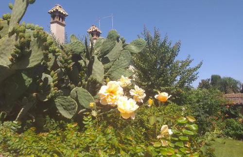 Villa Vittorio - Photo 33