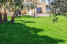 Azienda Agrituristica Baglio Carta - Foto 21